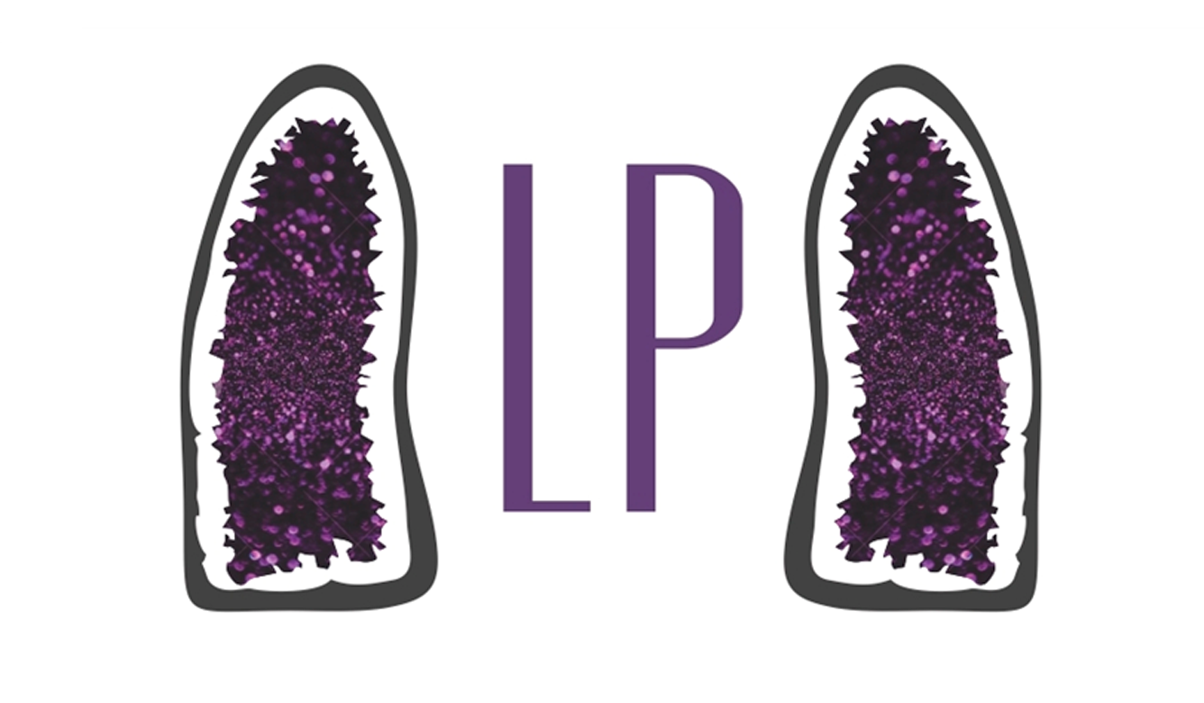 LP Minerais – Esportazione